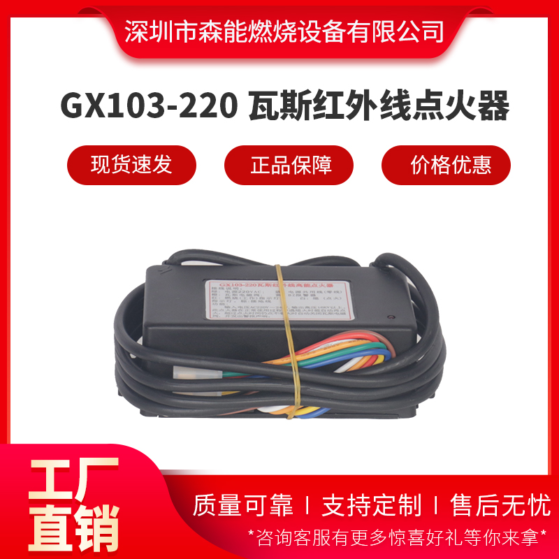 GX103-220點(diǎn)火器