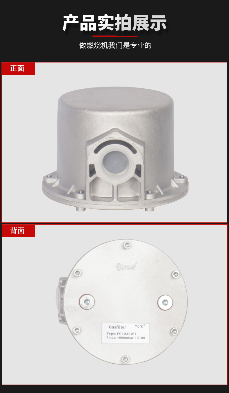 廢氣處理燃燒系統(tǒng)_02.jpg